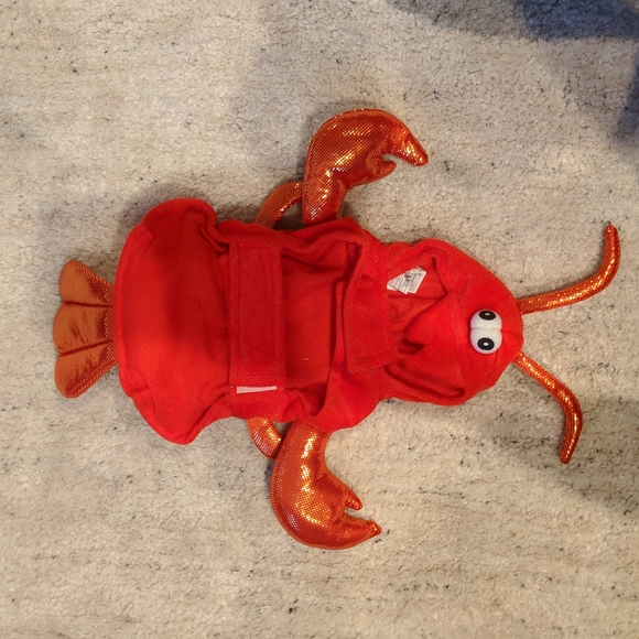 Lobster Costume for Small Dog or Cat - Picture 4 of 10